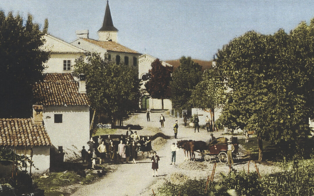 MATEJNA 2025.