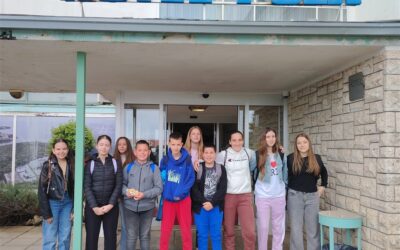 19. Festival matematike