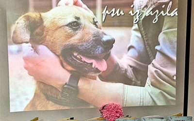 „Izgubljeni Flegi” za prijatelje iz AZILA