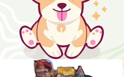 Prva akcija školskog volonterskog kluba Šterna Dobrote