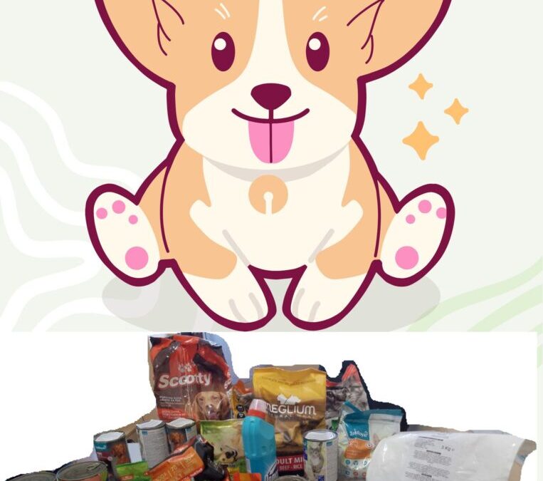 Prva akcija školskog volonterskog kluba Šterna Dobrote