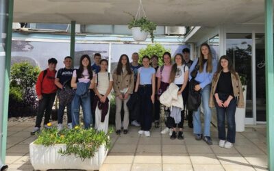 20. Festival matematike