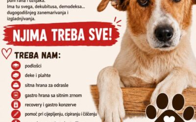 Pomozimo azilu za pse
