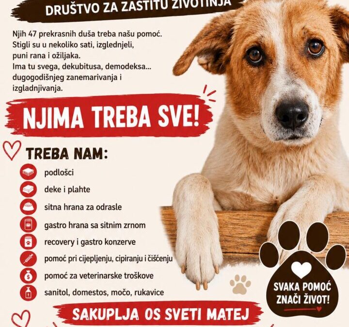 Pomozimo azilu za pse